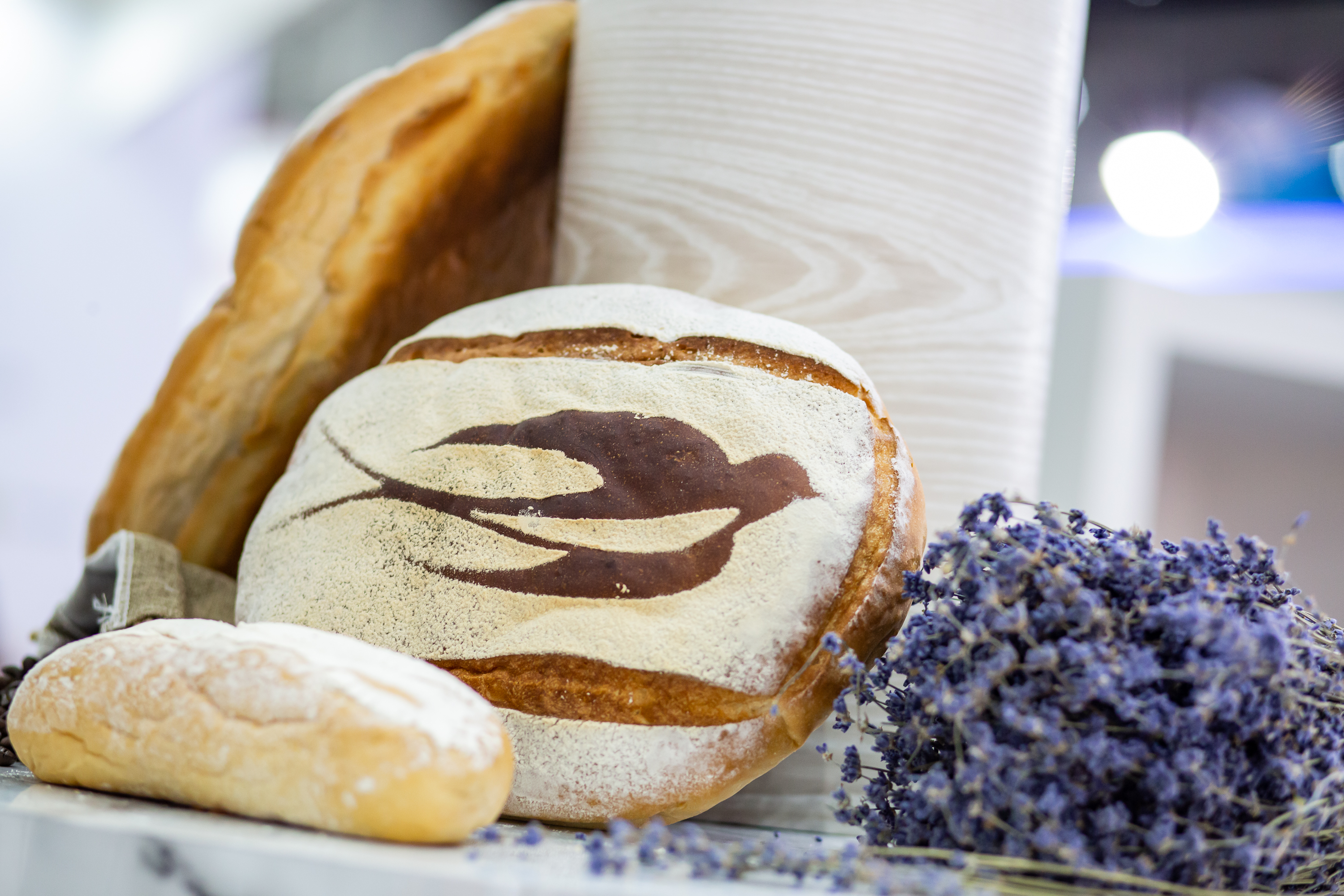 Discovering the Role of Yeast Extracts in Salt Reduction and Boosting Nutritional Profiles with LESAFFRE