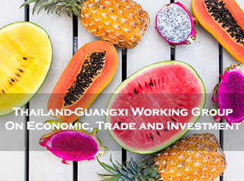 กว่างซีฯ ชูไทย หุ้นส่วนยุทธศาสตร์: เชื่อมโยงเส้นทางการค้า การลงทุน ร่วมส่งเสริมสินค้าเกษตร