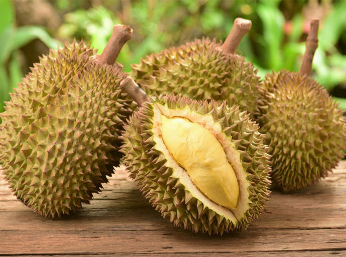 DITP เผยผลไม้ไทยยังได้รับความนิยมในตลาดสิงคโปร์ 4 เดือนส่งออกเพิ่ม 4.83%