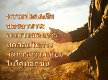 Food Safety: The Role of Testing in Mycotoxin Risk Management