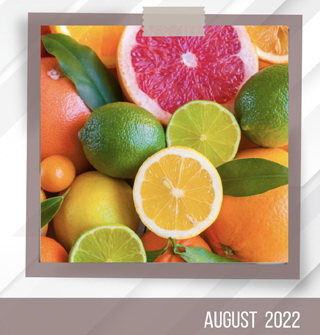 FIBERTEX® CF<br>CITRUS FIBERS