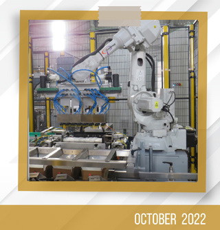 ROBOTIC CASE PACKER<br>FOR FROZEN FOODS