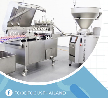 <strong>HANDTMANN FS520<br>FORMING SYSTEM</strong>