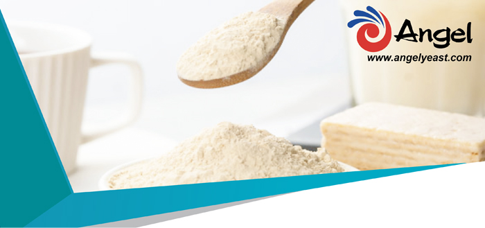 Angel Yeast Protein – A Sustainable Alternative Microbial Protein