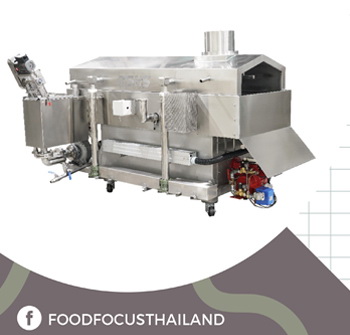 CONTINUOUS FRYER<br>FRYIN-201-E