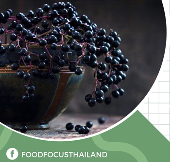 ELDERCRAFT®<br>BLACK ELDERBERRY<br>EXTRACT