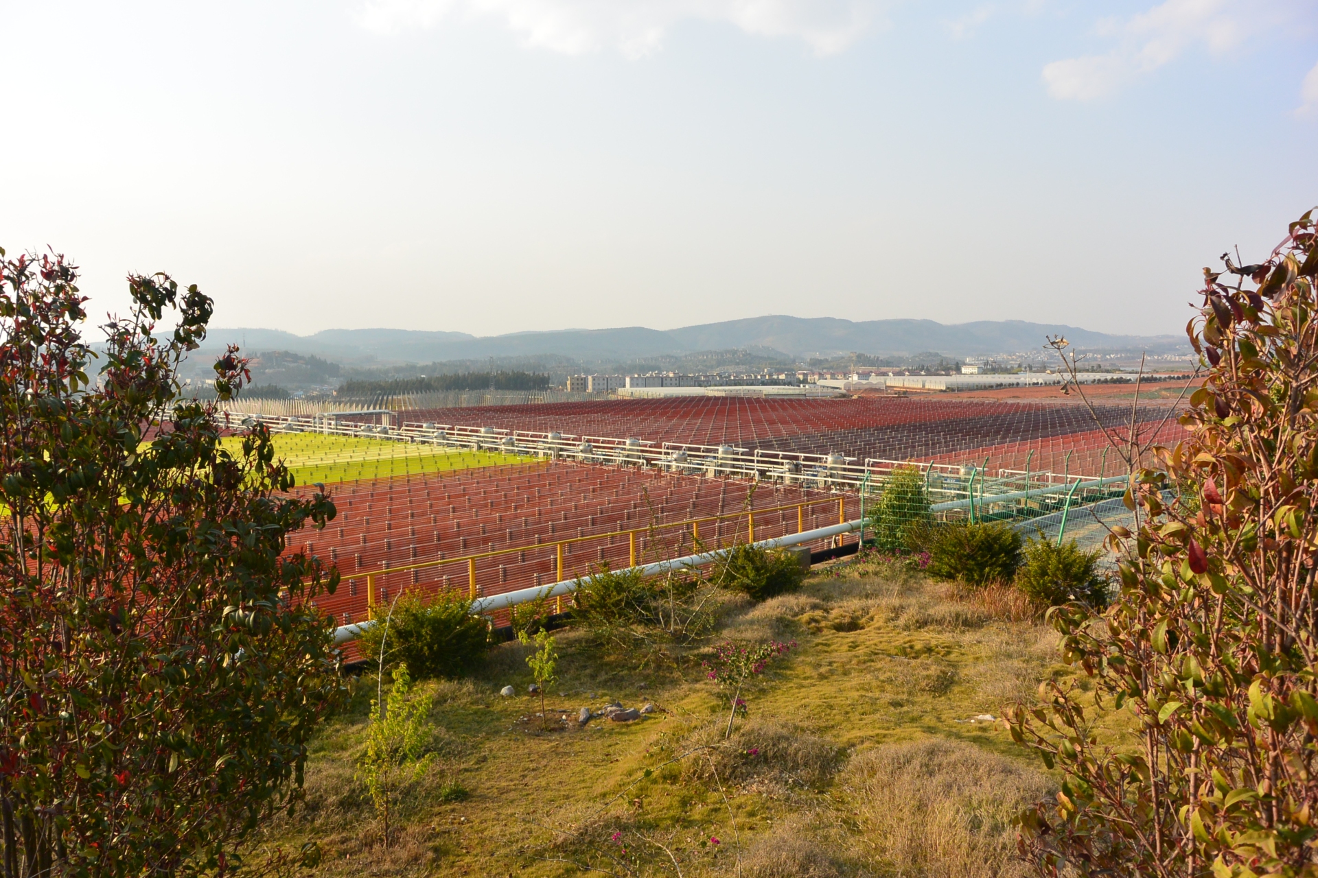 BGG Announces Major New Investment at World’s Largest Astaxanthin Plant
